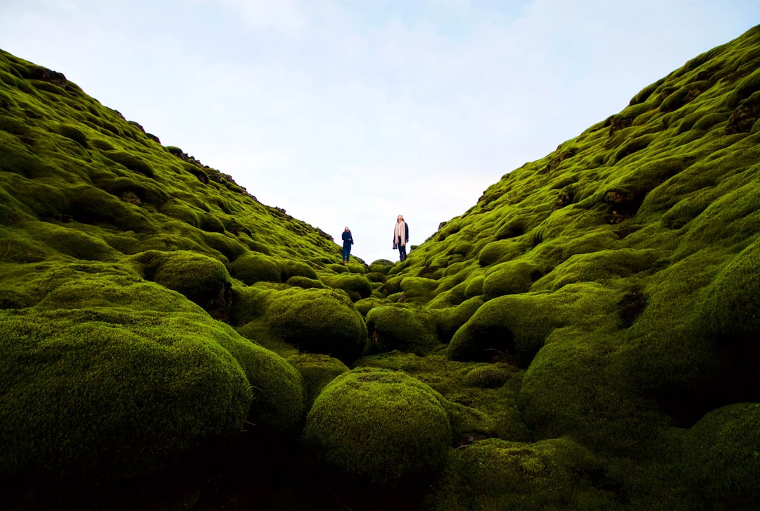 Luxury vs. Adventure: Finding the Perfect Balance in Travel Luxury vs. Adventure: Finding the Perfect Balance in Travel