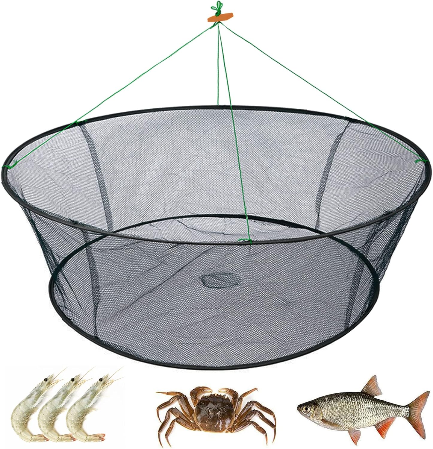 Fishing Gear Fishing Gear
